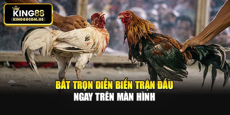 Bắt trọn diễn biến trận đấu ngay trên màn hình
