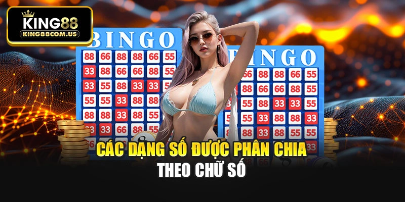 Các dạng số được phân chia theo chữ số